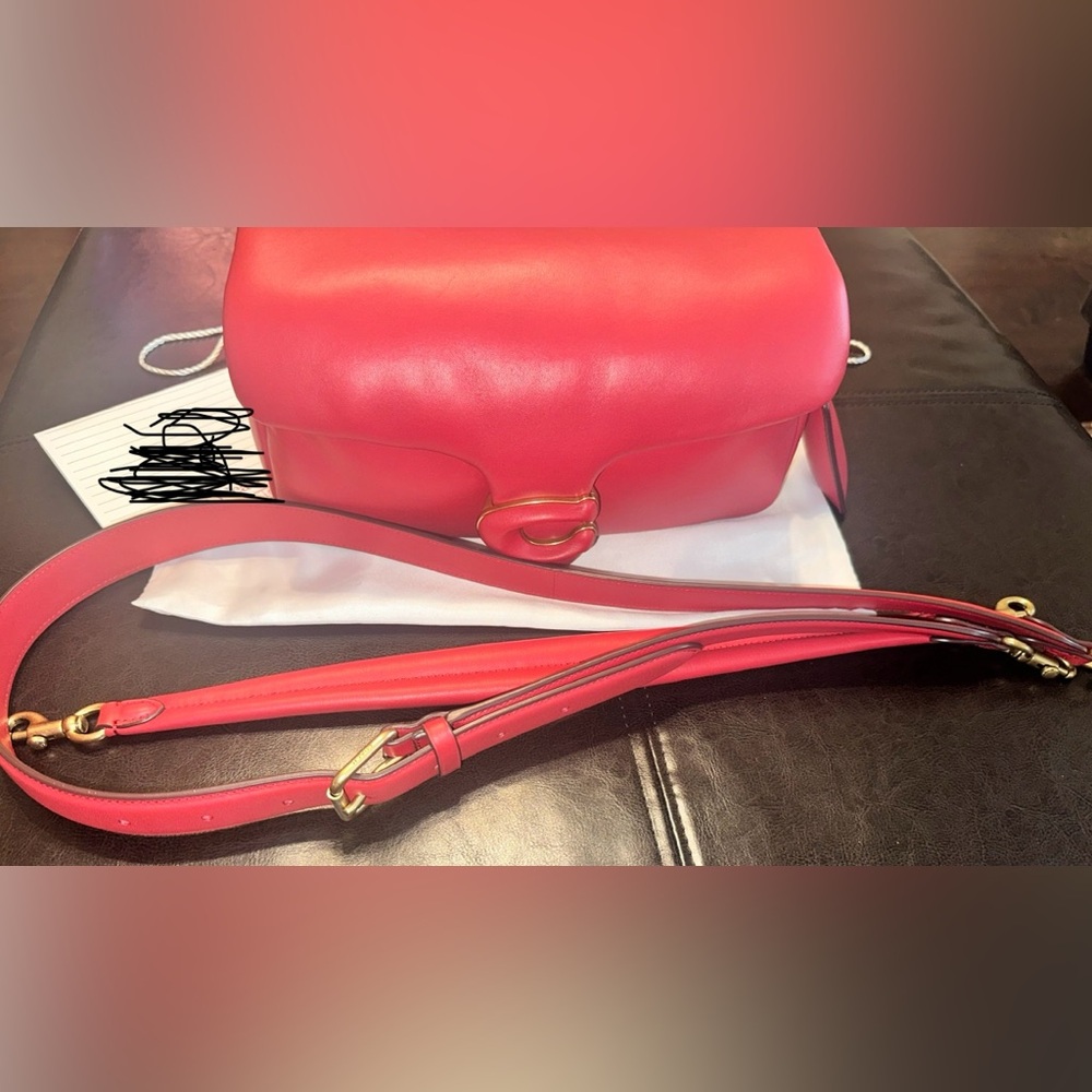 Coach Pillow Tabby 26